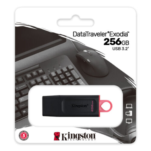 Флеш-накопитель Kingston DataTraveler Exodia 256GB (DTX/256GB)