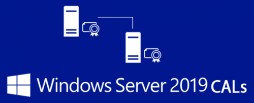 OEM ПО Microsoft Server CAL 2019 Rus 1pk DSP OEI 5 Clt User CAL (R18-05876)