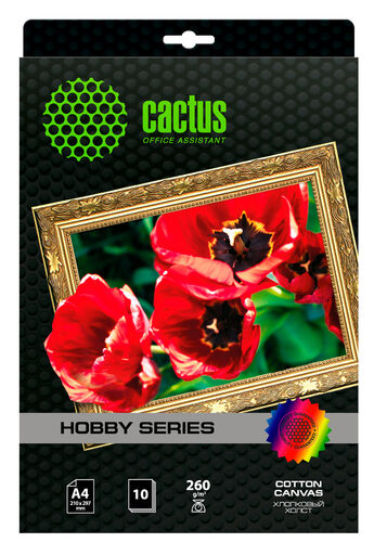 Холст Cactus CS-CA426010 A4/260г/м2/10л.